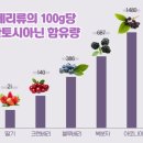 굿아로니아베리