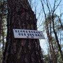 금오화원