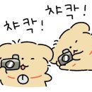 댕냥밥상 이미지