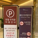 베너호텔 | 대구 웨딩홀 호텔인터불고 인터빌리지 하객 후기(주차, 홀 분위기, 뷔페 총정리)