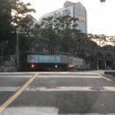 고고풋살 이미지