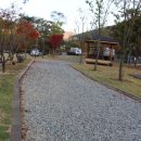 에이스카라반 이미지