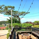 씨앤필드 | 친구들과 북적북적! 대부도가족펜션 씨앤필드 : 놀거리 가득한 우리들의 아지트