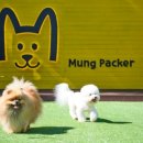 한화리조트/평창 이미지