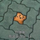 즐거운 여름이었다.