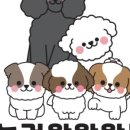 놀러왕왕왕 네이버블로그