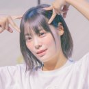 시연하다 이미지