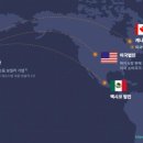 나비엔글로벌 이미지