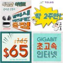 NEW 갤럭시 버즈FE 무료제공! 6/28일까지 이미지