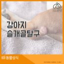 호계동물병원 이미지