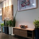 디딤정신과의원 이미지