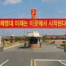 1239 이미지