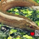과일나라건강원