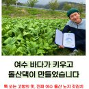 돌산댁 푸드 | 여수갓김치 돌산댁 갓김치 돌산댁푸드 내돈내산 당일배송 추천!
