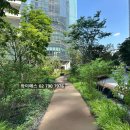 용산역세권개발 | 용산 호반써밋 에이디션, 상가 사무실 내부 실물 현장 분위기와 입지 후기!
