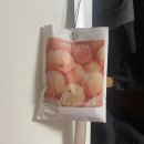 무드제니 | 제니센트 무드 퍼퓸 사쉐 - 벨라피치 향 솔직 후기 | 복숭아향 사쉐, 실내디퓨저 찾는다면 이거 쓰세요