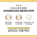 홀씨건강식품