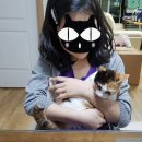 언니야PC 이미지
