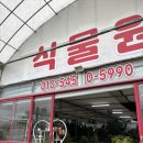 화원 | 천안 카네이션 추천 : 녹색식물원(내돈내산 후기🩵)