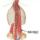 건강은... 이미지