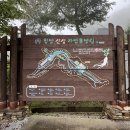 서상농협하나로마트 이미지