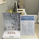 에스테벨로