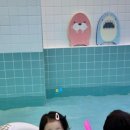 미미아이
