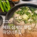 너른 | 혜화 삼계탕 맛집 이 집 모르고 줄만 섰다면 손해였다 마당너른집 내돈내산 후기