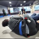 (주)코리아세븐 당진중앙점 | 당진주짓수 아카데미 수업 후기 체력과 자신감이 함께 올라가는 시간