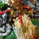 소나무집 이미지