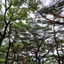 아차산 동행숲길 이미지