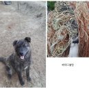 윤형농장 이미지