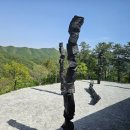 원주곤충마을박물관 이미지