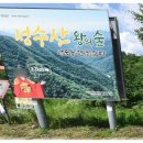 성수산 왕의숲 자연휴양림 이미지
