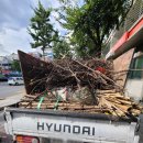 부평대로우체국 이미지