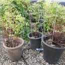 모악농장 이미지