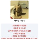픽미코인노래연습장 안중점 | 바람이 차가워진건, 가을이 온걸까 그냥 내가 늙은걸까.. 쓸때없는 사진을 자주찍자