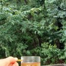 마리펜션 이미지