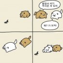 순진한 강아지 이미지