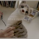 공방읻다