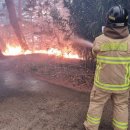 남동소방서 이미지