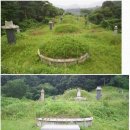 윤인함 묘 이미지