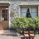 귤꽃향기 | 제주 귤꽃다락 카페 후기🍊 귤밭뷰 감성가득! 귤라떼·청귤무스케이크 맛집