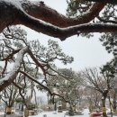 통일로1267번길 이미지