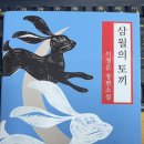 삼월의토끼 이미지
