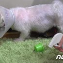 향수축산 이미지