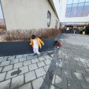 레코어린이집 이미지