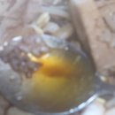 신신방앗간 이미지