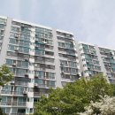 주공3단지아파트 Daum카페