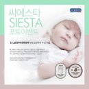 씨에스타 이미지